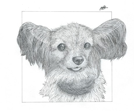 ペットの似顔絵をお描きします 世界に一枚だけの、思い出をイラストで残します。 イメージ1