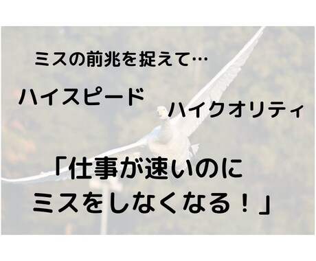 仕事が「速いのにミスをしない人」になる方法教えます 「ミス」は誰もが抱える最大のリスク。「ミスの前兆」を捉える！ イメージ1