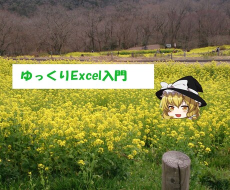 Excel初級・中級を解説します ゆっくりエクセル解説します。初級・中級 イメージ1