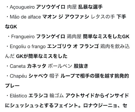 プロがポルトガル語のサッカー用語のレッスンします ブラジルクラブ在籍・五輪・Jリーグ通訳の経験から イメージ2