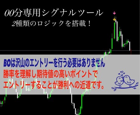 00分専用！シグナルツール販売します 00分エントリーでご自身のトレードを安定させましょう！ イメージ1