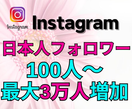 男女指定可能のインスタ日本人フォロワーを増加します Instagram日本人フォロワーを100人増加します イメージ1