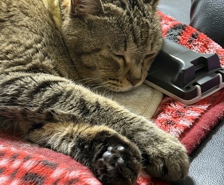 なんでもお話しききます 深夜にお話聞いてほしいな？ってときお使いください！ イメージ2