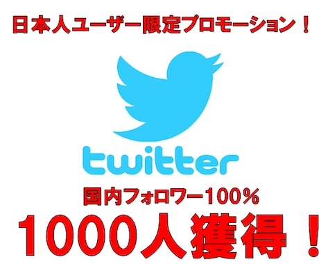 リアル日本人フォロワー＋１０００人集客します 貴方のファンとなるフォロワーを国内限定プロモーションで獲得！ イメージ1