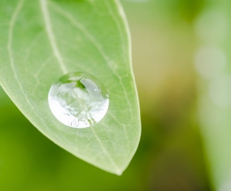 大切な人が【闘病中】辛いあなたの気持ち受け止めます 難病/がん患者家族/経験者の私と一緒に乗り越えませんか？ イメージ2