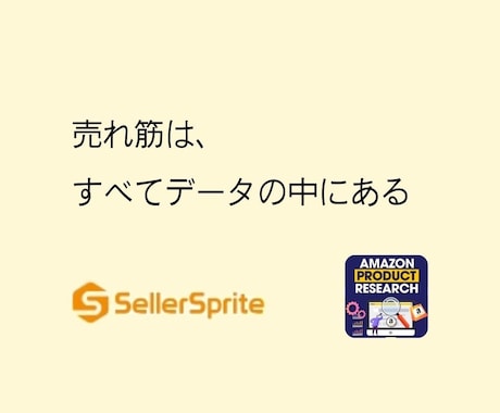 Amazon分析ツール、セラースプライト教えます Amazonのリサーチ、一体どの順番でやればいいの？！ イメージ1