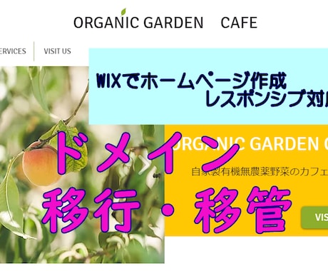 既存のホームページのドメインの移行・移管致します WIX内、WIX内での別アカウント、写します！ イメージ2
