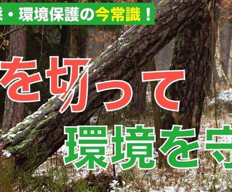 Noteのヘッダー制作承ります Illustratorを使ったヘッダーで記事をランクアップ！ イメージ2