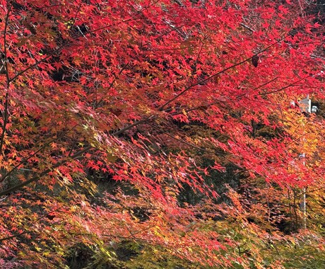 恋愛占い【彼の本音】本当の気持ちを霊視いたします 片思い中のあの人は運命の人？恋愛成就/復縁の未来へ向けて イメージ2