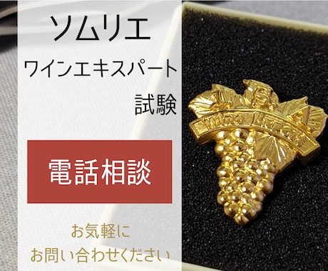 ソムリエ試験合格に向けてアドバイスいたします ワインエキスパートが合格に向けてアドバイスいたします！ イメージ1