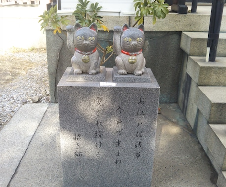 今戸神社ナミちゃん写真に癒やされますます 猫お好きな方　神社にいる白いお猫様　幸せを運んできて欲しい方 イメージ2