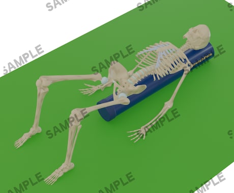 医療・施術のオリジナル3D動画を制作します 理学療法の知見に基づく正確な骨格・筋肉のオーダーメイド3D イメージ1