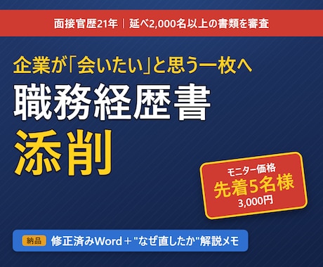 職務経歴書｜会いたいと思わせる書類へ添削します 採用側の勘所｜なぜ直したのかの解説メモ付きで納品 イメージ1
