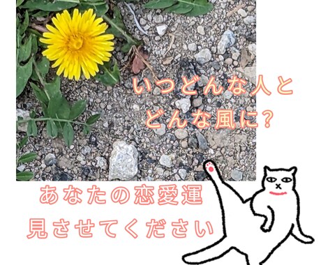 特別価格！恋愛運、タロットカードに聞いてみます 夏が来る前に！恋をしたい！いつになったらどんな恋人ができる？ イメージ2