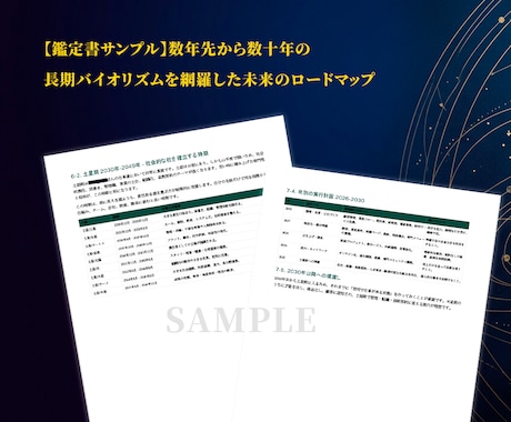 インド占星術で人生の転機と未来を鑑定します 精密な時期読みで未来の転機と人生のロードマップを届けます イメージ2