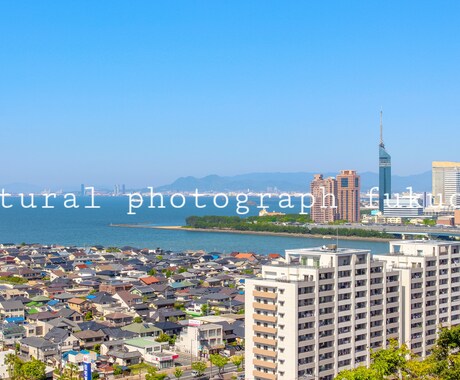 プロのカメラマンが福岡市を中心に写真を撮影致します - natural photograph fukuoka - イメージ1