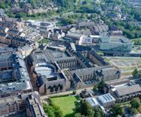 ヨーロッパ・オーストラリアの出願書類作成手伝います 現役のヨーロッパ大学院留学生が「リアル」をお伝えします イメージ1