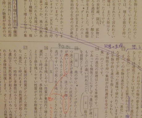 中学入試高校入試の国語の解説つくります 本文・問題の注目部分が一目瞭然。解説なしの問題も対応します。 イメージ1