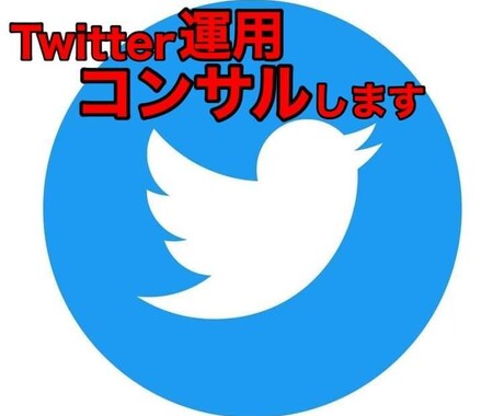 Twitter運用コンサル、アドバイスします 個人様でも大歓迎！Twitterを一緒に伸ばしましょう イメージ1