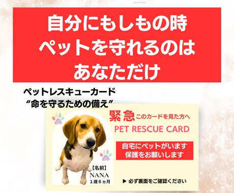 もしもの時、ペットを守れるカード作成します 写真入り｜緊急時にすぐ伝わるペット防災カード イメージ1