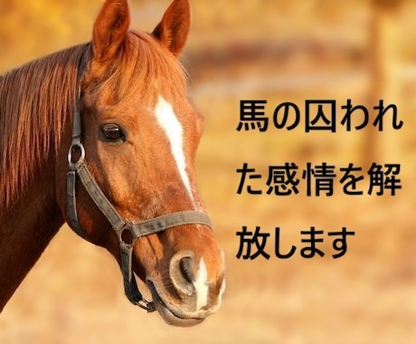 馬の囚われた感情を解放します エモーションコード　馬のストレスを解放します。 イメージ1