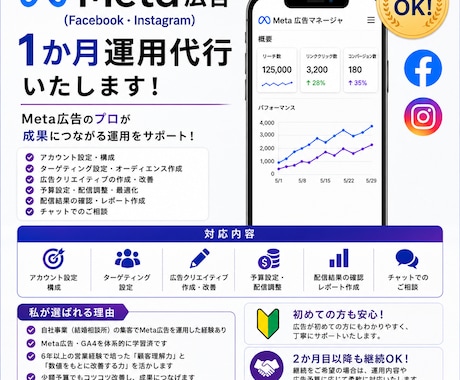 Meta広告を1ヶ月丁重に運用します Meta広告の配信設定から改善まで対応します イメージ1