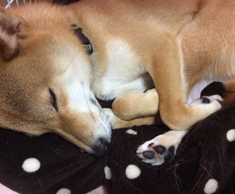 医大生が様々なお悩みを聞きます 毎日頑張っている方へ、少しでも心が楽になりますように イメージ1