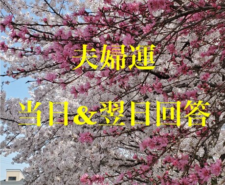 最短１０分で占います 恋愛、相性、仕事、金銭、健康、オールジャンル承ります。 イメージ2