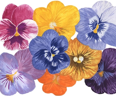 植物・花・ボタニカルのイラストを制作します パッケージや書籍に使える植物や花のイラストならお任せください イメージ2