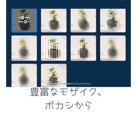 格安で女性にだけ頼みたいモザイクボカシ処理します 大事な部分や知られたくない部分の処理は女性へお願いしたい方 イメージ2