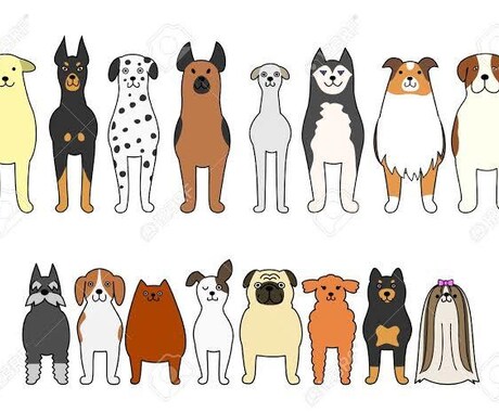 動物さんの声を聞きます ＊アニマルコミュニケーション＊ イメージ1