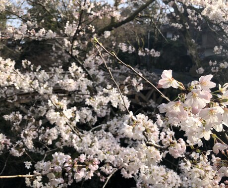 1人で悩まないでください、お話しいくらでも聞きます 少しでも心の負担が軽くなるようにしましょ イメージ1