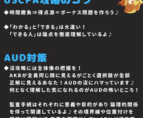 USCPA合格者がAUD攻略ノートを販売します 7ヶ月でUSCPA全科目合格のノウハウを凝縮した完全攻略本 イメージ2