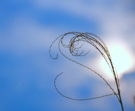 しんどい今の仕事続ける？それとも転職すべきか視ます どちらに進む？未来の自分が微笑む方へ♡ イメージ1