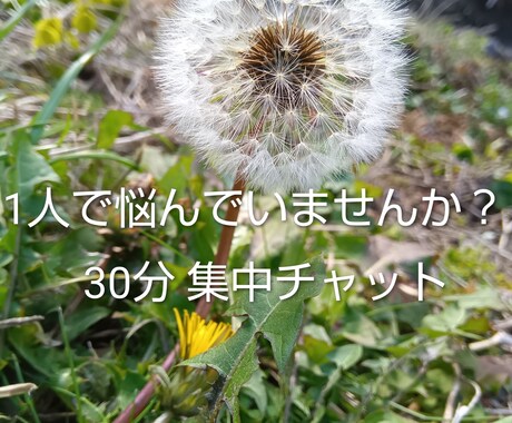女性限定　夫婦・親子・人間関係の悩みをお聞きします 1人で悩んでいる事はありませんか イメージ1