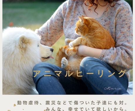 ペット(犬猫)アニマルヒーリングで体調を整えます オーダーメイドヒーリングで穏やかで元気な日常をサポートします イメージ2