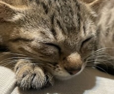 短い時間でもお話ききます どんなお話でもOK 誰かに聞いてもらうてスッキリしましょ イメージ1