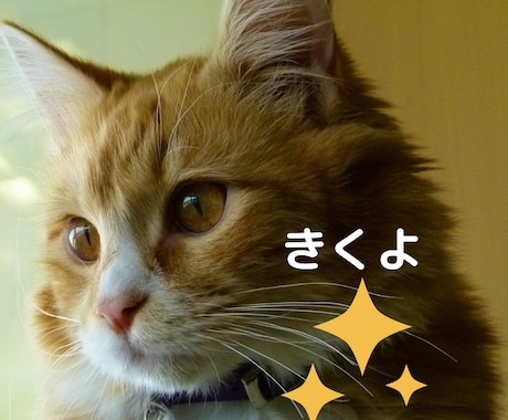 お悩みから雑談までライン感覚で60分間お聞きします 恋愛関係/夫婦関係/人間関係/話し相手/コロナ疲れ/不安など イメージ2