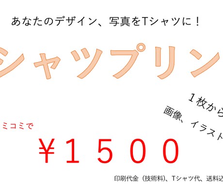 あなたの写真をTシャツにします お試し価格！　全てコミコミ代金　これ以上はいただきません！ イメージ1