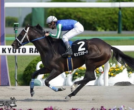 競馬予想をします 初心者でも大丈夫！基本的なことから幅広いことまで イメージ1