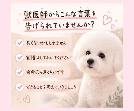 愛犬との限られた時間に寄り添います 残された大切な時間のお気持ちに寄り添います イメージ2