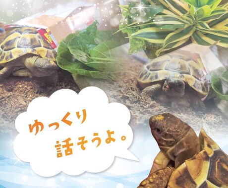 きっと笑顔で電話を切れます 共に成長して行きましょう!何でもお聴かせ下さい! イメージ1