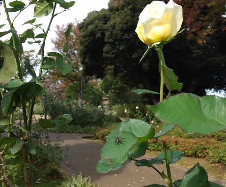 仕事探し中の方へ自己分析をお手伝い解決へ導きます 意外と分からない自己分析。第三の視点で未来を人生をチェンジ！ イメージ1
