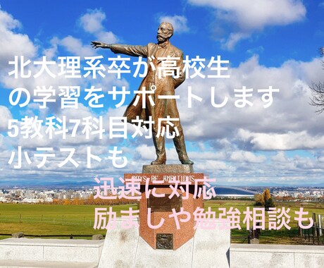 北大卒が2週間高校生の勉強を指導します 高校生の学習をチャットで迅速親身に毎日管理、指導致します。 イメージ1