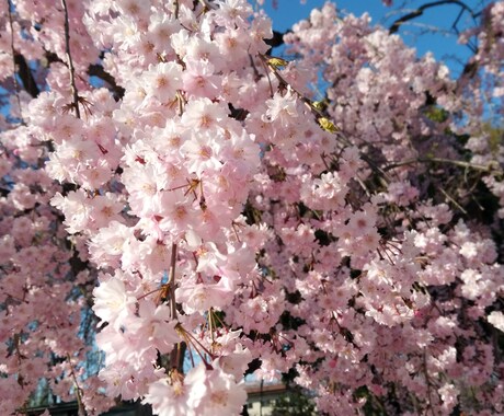 どんな悩み事でもお話し下さい!ます どんな恋愛相談でも承っております! イメージ1