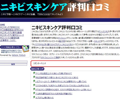 ニキビスキンケア評判口コミ・ブログ売ります 【先着1名限定】サテライト・口コミ・追記・アドセンスにどうぞ イメージ1