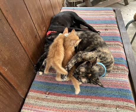 パートナーとの交際をどうするか「見極め」を致します デート歴2000人交際歴70人の婚活インストラクターが対応 イメージ2