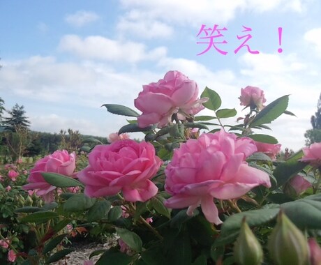 引きこもりの貴方へ、一歩を踏み出す言葉を届けます 元引きこもりニートがタロットカードとチャネリングで占います イメージ2