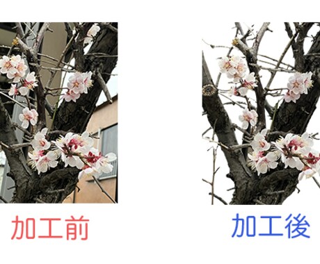画像の白抜き加工のご依頼を承っております 面倒な人物の切り抜きやネットショップで販売する商品の白抜き イメージ2