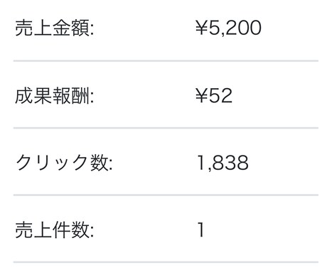 30分の作業で稼ぎます 大手サイトの動画アフィリエイトで小遣い稼ぎ。 イメージ1